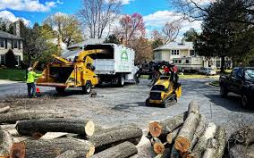 How Our Tree Care Process Works  in  Crothersville, IN