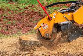 Best Lawn Disease Treatment  in Crothersville, IN
